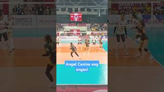 Angel Canino ang angas angelcanino dlsuladyspikers [upl. by Nahn562]