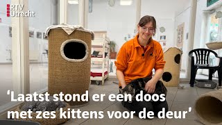 Dierenasiels zitten zo vol dat ze geen nieuwe katten meer toelaten  RTV Utrecht [upl. by Zakarias]