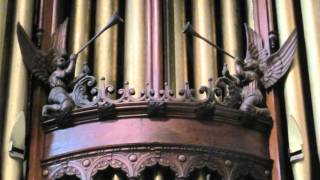 Franz Liszt  quotWeinen Klagen Sorgen Zagenquot Organ prelude after Bachs Cantata tr Winterberger [upl. by Enom122]