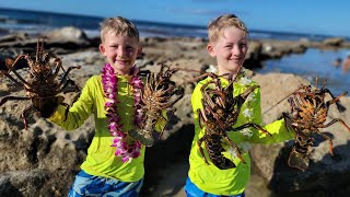 9 Days Fishing amp Foraging in Hawaii  Lobster Diving  Spearfishing Catch amp Cook [upl. by Srini]