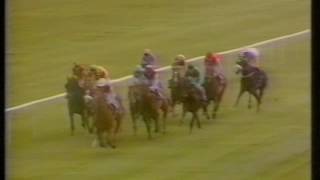 1993 AirlieCoolmore Irish 2000 Guineas [upl. by Arracahs491]