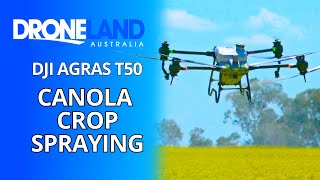 Workflow For Agras T50 Spraying Canola Crop [upl. by Toffey108]