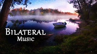 Relaxing Bilateral Stim Music  1 Hour for Anxiety Stress PTSD Sleep 🎧 A Drop in Time [upl. by Sajovich779]