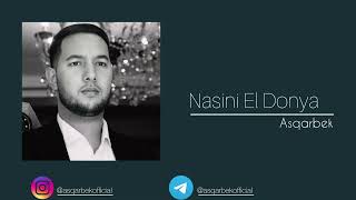 Asqarbek  Nasini El Donya  Official Cover Music [upl. by Jae]