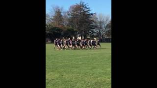 Wesley College vs St Johns College HAKA [upl. by Enitram]