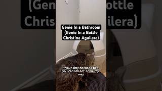 Genie In a Bathroom 🧞‍♀️🚽 catvideos catsong parodysong paidpartnership catgenie [upl. by Burget]