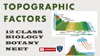 Topographic Factors I Principles of Ecology I Botany I Class 12  TNSCERTCBSE  NEET [upl. by Joelynn311]