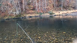 Trinity River Fishing [upl. by Essyle554]