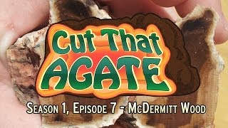 Cut That Agate  Episode 7  McDermitt Petrified Wood [upl. by Olin]