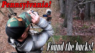 PA Public Land Bowhunting 2023  RutCrazed Frenzy [upl. by Lathe]