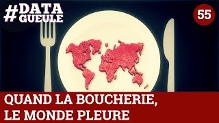 Quand la boucherie le monde pleure  DATAGUEULE 55 [upl. by Adnawad261]