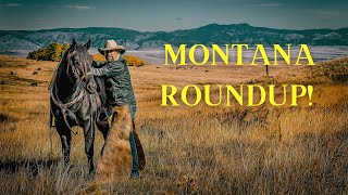 Real Montana Ranch Round Up Shipping Time [upl. by Kammerer]