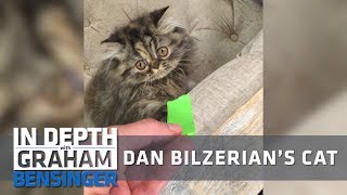 Dan Bilzerian’s cat [upl. by Nodla]