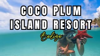 Coco Plum All Inclusive Resort Dangriga Belize [upl. by Evania837]