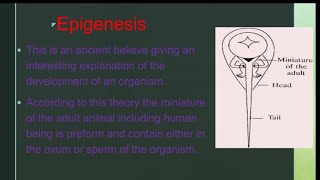 What is Epigenesis biology Epigenesisviralvideo easy noteszoologyclasses [upl. by Zug]