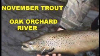 November Trout Fishin 2011 [upl. by Liddy]