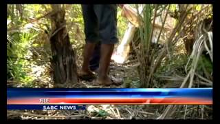 Murdered Manguzi 21 year old with Albinism laid to rest [upl. by Neira833]