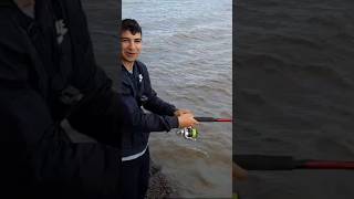 PESCA DE BOGAS GRANDES pesca torneodepesca pescaesportiva shortsvideo shorts bogas [upl. by Ever]