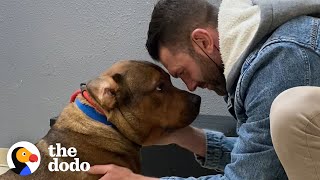 Guy Promises Hes Not Going To Keep His Foster Dog  The Dodo Foster Diaries [upl. by Rickey]