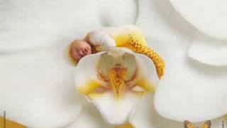 Anne Geddes [upl. by Oneil]