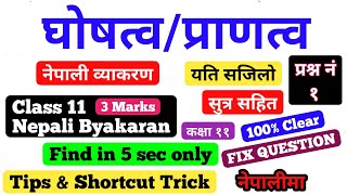 घोषत्व र प्राणत्व  Class 11 Nepali Byakaran नेपाली व्याकरण  find in only 5 sec  Tips amp Tricks [upl. by Cassiani]