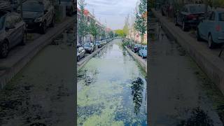 Delft Netherlands delft netherlands netherlandstourism europe nature shorts viralvideo [upl. by Toffic533]