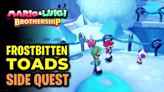 Frostbitten Toads Side Quest  Find Food and Shelter  Mario amp Luigi Brothership [upl. by Ojok]