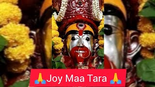 Joy Maa Tara 🙏  Shyama Sangeet  Joy Tara [upl. by Ecnerrat]