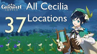 Genshin Impact l All Cecilia Locations [upl. by Dekow]