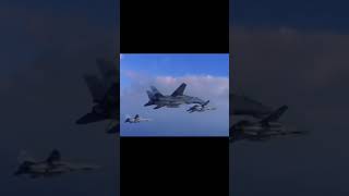 F 14 tomcar☠️ subscribe plane aviation airforces viralvideo trending funny viralvideo roblo [upl. by Lezned]