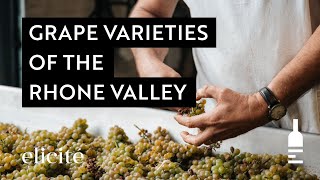 The Different Grape Varieties And Styles Of The Rhone Valley Wine Region [upl. by Aztiley]