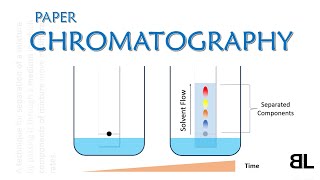 What is Chromatography  Paper Chromatography  GCSE Chemistry Lecture [upl. by Sucramed479]