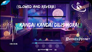 kandai kandai dilis morai slowed and reverb song purulia sad lofi song singer jagadish sad lofi [upl. by Euqinehs]