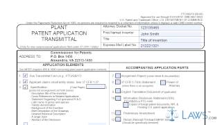 Plant Patent Application Transmittal SB0019 [upl. by Henderson]