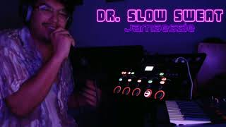 Dr Slow Sweat  Vakantie Jamsessie  Loopstation Gitaar Synth en MEER [upl. by Kemeny430]