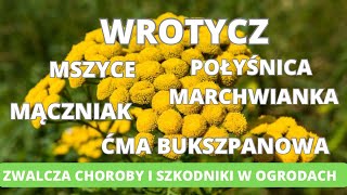 Wrotycz zwalcza choroby grzybowe i szkodniki w ogrodzie Mszyce mączniak ćma bukszpanowa [upl. by Ahsakal]