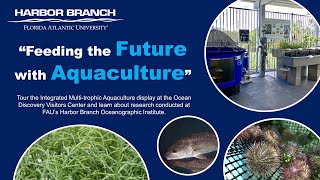 Feeding the Future with Aquaculture at FAUs Harbor Branch [upl. by Leinaj]