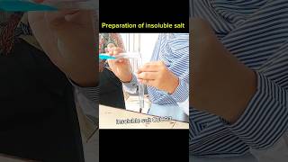 Insoluble salt Preparation Class 10 [upl. by Delaney]