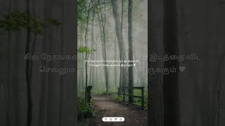 Nan varainthu vaitha oviyam tamil whatsapp status ♥️ [upl. by Ardnasil]