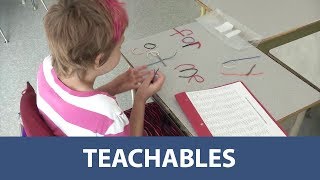 Teachables  MultiSensory Learning [upl. by Milewski]