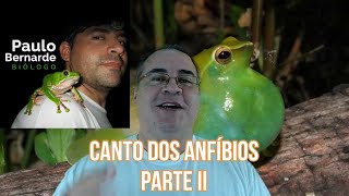 CANTO DOS ANFÍBIOS  PARTE II [upl. by Elleinnad]