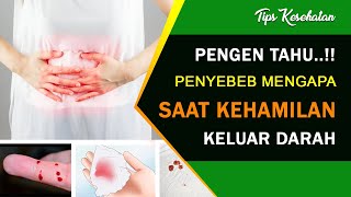 Penyebab Keluar Darah Saat Kehamilan Kapan Harus ke Dokter [upl. by Ab14]