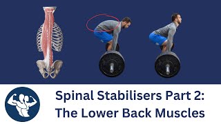 Spinal Stabilisers for Powerlifters Part 2 [upl. by Nadnarb]