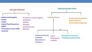 Classification of Ganglionic stimulants amp blocking agents [upl. by Babbette]