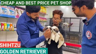 CHEAP AND BEST QUALITY PET SHOP  SHIHTZU amp GOLDEN RETRIEVER [upl. by Evoy298]