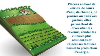 Et si nous produisions notre propre énergie [upl. by Imis]