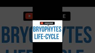 BRYOPHYTES LIFECYCLE [upl. by Donella]