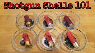 Shotgun Shells 101 [upl. by Enirehtahc]