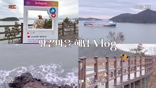 땅끝마을 해남 브이로그  대형견 산책 Vlog  대형견 일상 골든리트리버 천사견 Big Dog Walk  Walk Vlog  Golden Retriever [upl. by Toogood]