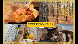 Abschied vom Herbst I Wichtel Geschenke einpacken Lidl Food Haul [upl. by Eenehs]